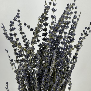 Lavender natural