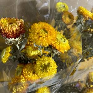 Dried chrysunthemum