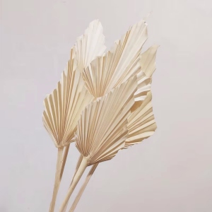 Sun palm spears natural