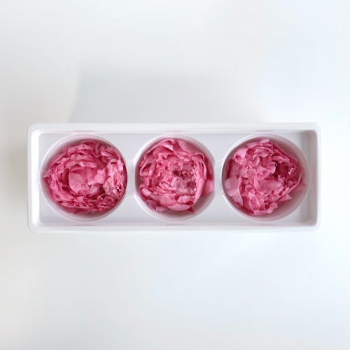 Preserved peony