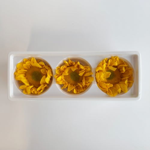 Preserved sunflower